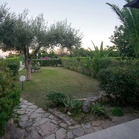 Eucaliptus コスタ・レイ