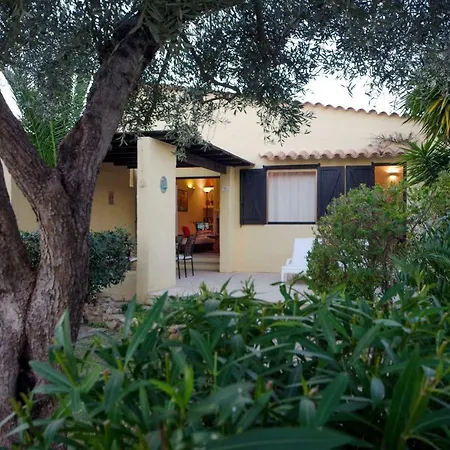 Eucaliptus * Costa Rei