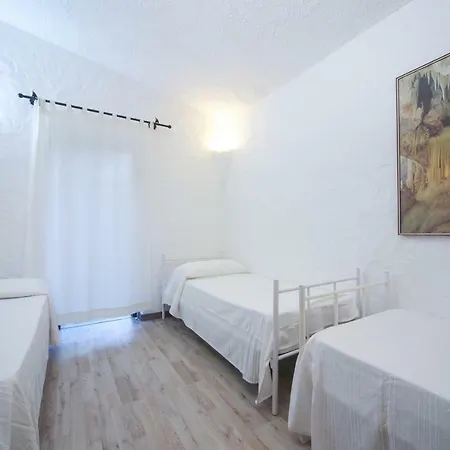 Eucaliptus コスタ・レイ