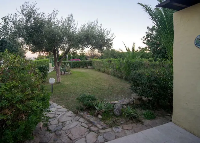 Eucaliptus Costa Rei