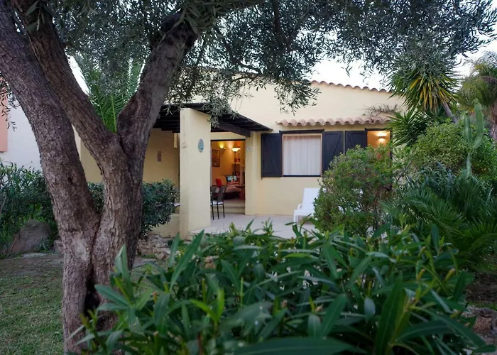 Eucaliptus * Costa Rei