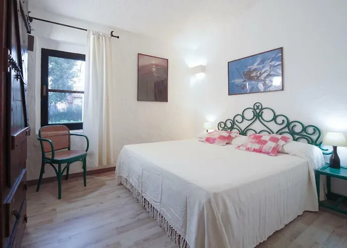 Eucaliptus * Costa Rei