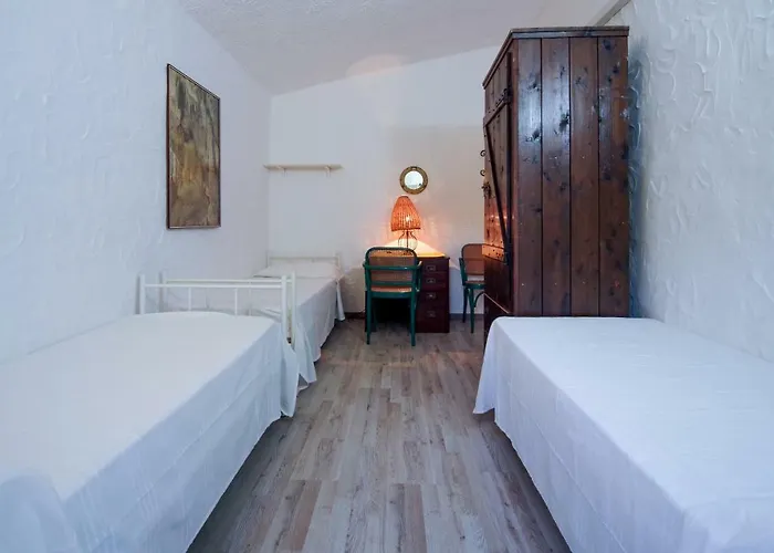 Eucaliptus * Costa Rei